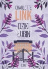 Dziki łubin Charlotte Link