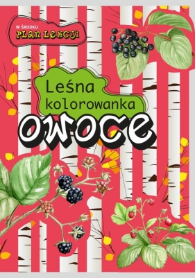 Owoce. Leśna kolorowanka - Katarzyna Kopiec - Sekieta