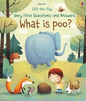 What is poo? - Daynes Katie