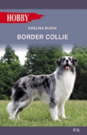 Border Collie - Budek Ewelina