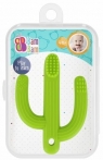 Gryzak Kaktus szczoteczka BAM BAM