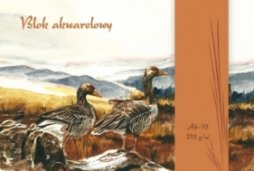 Blok akwarelowy A4 biały 10 210g