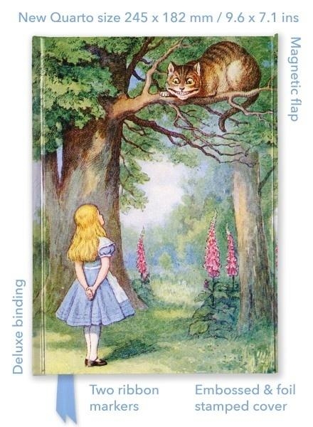 <img src='https://webimage.pl/pics/903/5/d9781835625903.jpg' style='height:440px' /> Notatnik quatro linia TW Alicja w Krainie Czarów