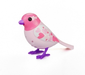 DigiBirds z ramką Love - <br />