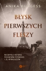 Błysk pierwszych fleszy. Niezwykła historia początków fotografii i jej