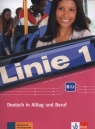 Linie 1 B1.1 Kurs- und Ubungsbuch +DVD Dengler Stefanie, Hoffmann Ludwig, Kaufmann Susan