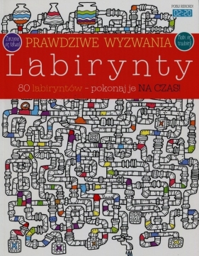 Prawdziwe wyzwania Labirynty - Andrea Ebert, Mária Nerádová