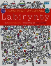 Prawdziwe wyzwania Labirynty