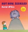 Not Now, Bernard Mckee David