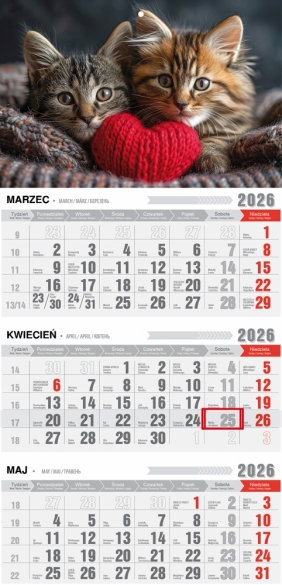 Kalendarz trójdzielny-jednodzielny z magnesem 2026, 1 szt.