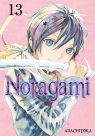 Noragami. Tom 13 Toka Adachi