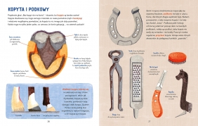 W galopie! Ilustrowana księga koni - Sara Panzavolta