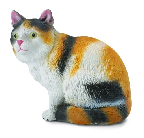 Kot domowy siedzący trzy-kolorowy S (004-88490)