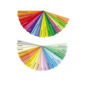 Papier kolorowy Trophee kolorowy A4 - brzoskwiniowy 160 g 297 mm x 210 mm (xca41049)