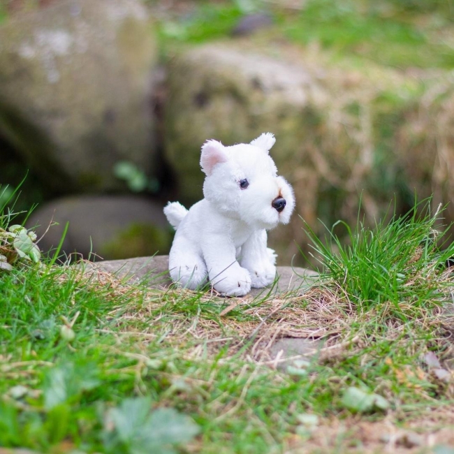 <img src='https://webimage.pl/pics/905/5/d5038728155905.jpg'>