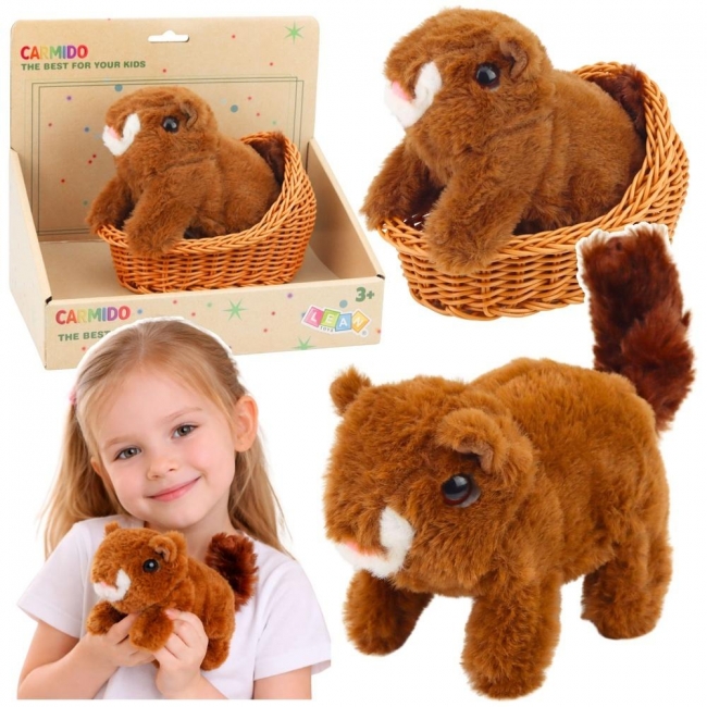 Wiewiórka interaktywna w koszyku