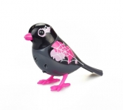 DigiBirds z ramką Edgy - <br />