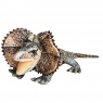 <img src='https://webimage.pl/pics/906/3/d5905965333055.jpg' width='400' height='400'> Agama 65cm