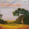 Mendelssohn: Complete Piano Trios  Hrvoje Jugovic, Maria Bader-Kubizek, Dorothea Schonwiese