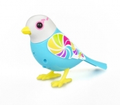 DigiBirds z ramką Candy - <br />