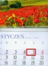 Kalendarz 2012 KJ03 Łąka