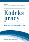 Kodeks pracy. Komentarz dla praktyków