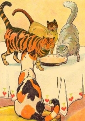 Karnet B6 z kopertą Koty na stole