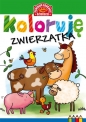 Koloruję. Zwierzątka - Opracowanie zbiorowe