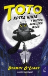 Toto Kotka ninja i wielka ucieczka węża Dermot O'Leary