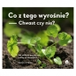 Co z tego wyrośnie? Chwast czy nie? - Bärbel Oftring