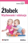 Żłobek Wychowanie i edukacja Aneta Jegier (red.)