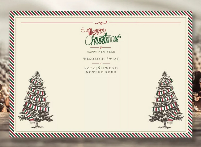 Karnet B6 BN Renifer