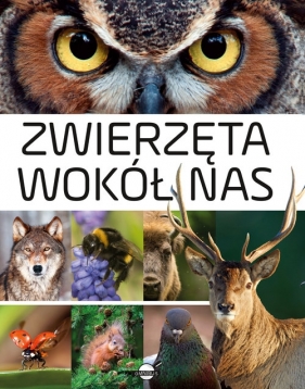 Zwierzęta wokół nas Encyklopedia ilustrowana - Skrok Anna