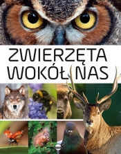 Zwierzęta wokół nas Encyklopedia ilustrowana - Skrok Anna