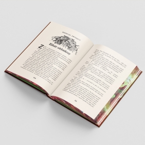 Harry Potter i Komnata Tajemnic. Tom 2. Polska okładka z barwionymi brzegami. Edycja limitowana - J.K. Rowling