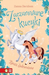 Zaczarowane kucyki. Książę Jednorożców. Tom 5 - Davidson Zanna