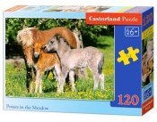Puzzle 120: Ponies in the Meadow (12909)