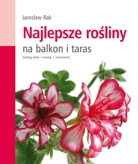 Najlepsze rośliny na balkon i taras - Rak Jarosław