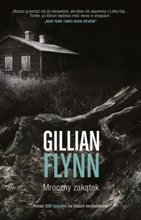 Mroczny zakątek - Flynn Gillian<br />