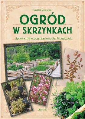 Ogród w skrzynkach Uprawa roślin przyprawowych i leczniczych - Laurent Bourgeois