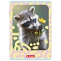 Zeszyt Herlitz Standard Animals A5/32k kratka z marginesem, 1 szt