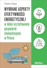 Wybrane aspekty efektywności energetycznej w dobie kształtowania gospodarki Szyja Paulina