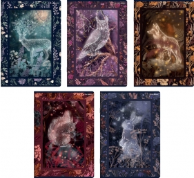 Zeszyt Top 2000: A5, 32k, Kratka - Fairytale, 1 szt