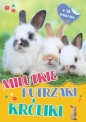 Milutkie futrzaki. Króliki - Opracowanie zbiorowe
