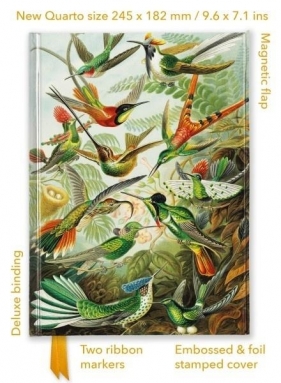 Notatnik quatro linia TW Kolibry Ernst Haeckel