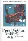 Pedagogika kultury w zarysie Gajda Janusz