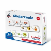 Skojarzenia puzzle 3 elementowe