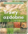 Trawy ozdobne