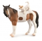 Mare Terrier