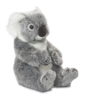 Koala 22 cm (15186002)
